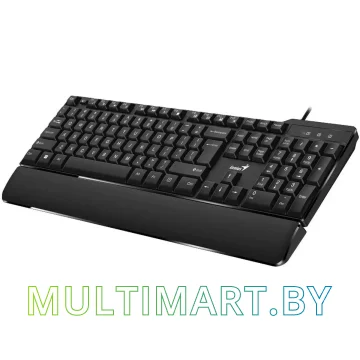 Клавиатура Genius KB-100XP картинка 3